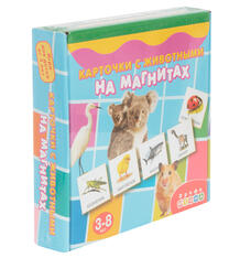 Развивающая игра Дрофа Магнит в коробке. Карточки с животными на Магнитах 4407217