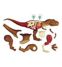 Игровой набор Jurassic World Анатомия динозавра 8203357