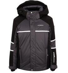 Куртка IcePeak Harun, цвет: серый 3769786