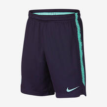 Футбольные шорты для школьников FC Barcelona Dri-FIT Squad Nike 888413325756