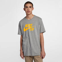 Мужская футболка Nike SB Logo 