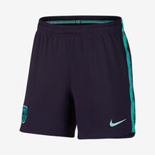 Женские футбольные шорты FC Barcelona Dri-FIT Squad Nike 