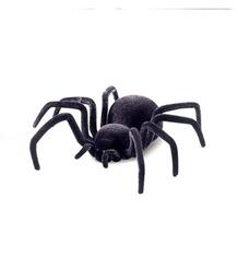 Радиоуправляемый робот-паук Cute SunLight nlight black widow 5417089