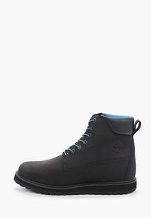 Ботинки Timberland tbla28bhm