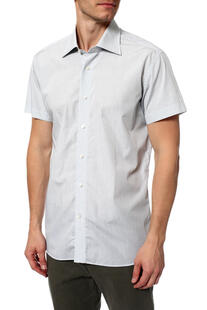 Рубашка Colletto Bianco 5974892