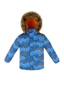 Куртка Reike Горы, цвет: голубой 6363157