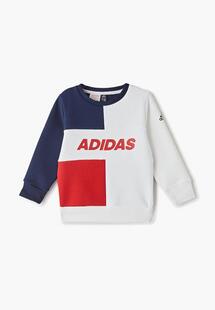 Свитшот Adidas eh4056