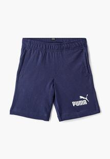 Шорты спортивные Puma 85443706