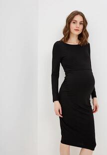 Платье Dorothy Perkins Maternity 17213413