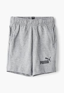 Шорты спортивные Puma 85443703