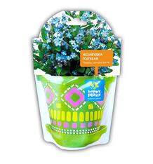 Набор Незабудка голубая для выращивания Happy Plant 9172129