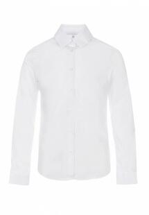 Блуза Colletto Bianco MP002XG00LVICM12260