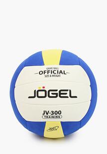 Мяч волейбольный Jogel MP002XU03EQNNS00