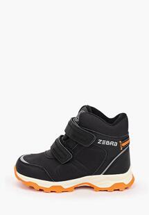 Ботинки Зебра ZE218ABJOOX1R310