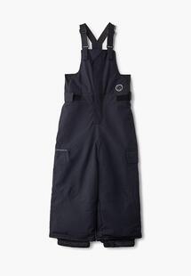 Брюки горнолыжные Quiksilver eqktp03003