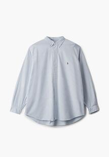 Рубашка Polo Ralph Lauren Big & Tall PO022EMKRIX4IN4XL