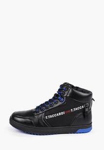 Ботинки T.Taccardi MP002XM2525TR430