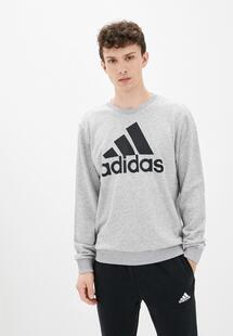Свитшот Adidas RTLAAL029801INS