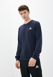 Свитшот Adidas RTLAAL030201INS