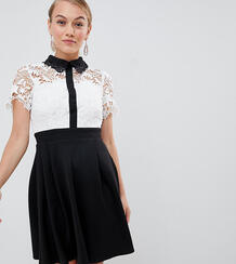 Короткое приталенное платье 2 в 1 с кружевным топом и контрастным воро Paper Dolls Petite 1295696