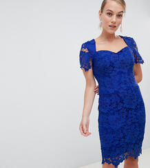 Ярко-голубое кружевное платье-футляр с вырезом сердечком Paper Dolls P Paper Dolls Petite 1295695