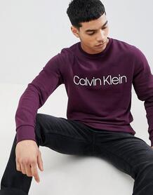 Свитшот с логотипом Calvin Klein - Фиолетовый 1304781
