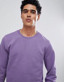 Фиолетовый свитшот Burton Menswear - Фиолетовый 1316628