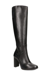 high boots GINO ROSSI 6223623