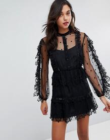 Кружевное платье мини с вышивкой Stevie May - Черный 1201368