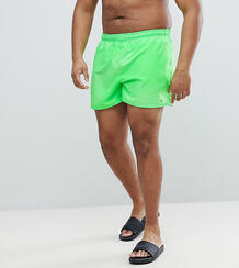 Зеленые суперкороткие шорты для плавания Nike Volley NESS8830-370 1196492