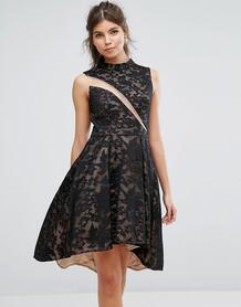 Короткое приталенное платье из кружева Forever Unique - Мульти 1031345
