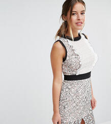 Кружевное платье‑футляр мини с фигурными краями True Decadence Petite 888102
