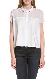 blouse Calvin Klein 6187875