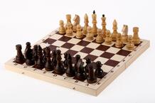 Шахматы турнирные с доской 40х20 см Орловская Ладья 901255