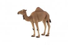 Фигурка Animal Planet Одногорбый верблюд XL MOJO 821346