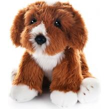 Мягкая игрушка Собака Кавапу 30 см Maxilife 844589