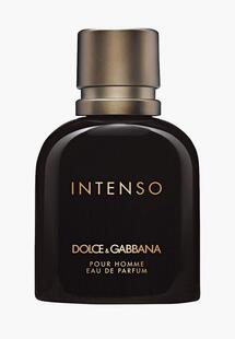 Парфюмерная вода Dolce&Gabbana DO260LMJNSW8NS00