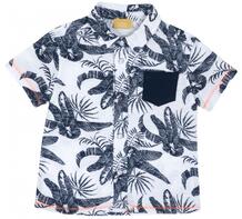 Рубашка для мальчика Гавайи Chicco 885152