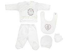 Подарочный набор для новорожденного (5 предметов) BBTF-866 Bebitof Baby 485366