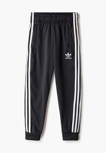 Брюки спортивные Adidas AD093EBJLWB3CM128