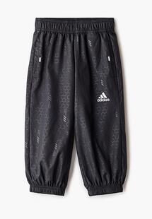 Брюки спортивные Adidas AD002EBJMBD5CM116