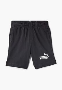 Шорты Puma 85443701