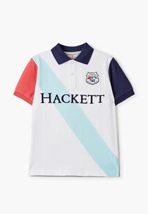 Поло Hackett London hk561338