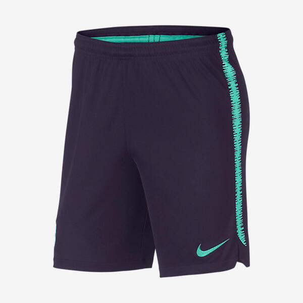 Мужские футбольные шорты FC Barcelona Dri-FIT Squad Nike 888413325107