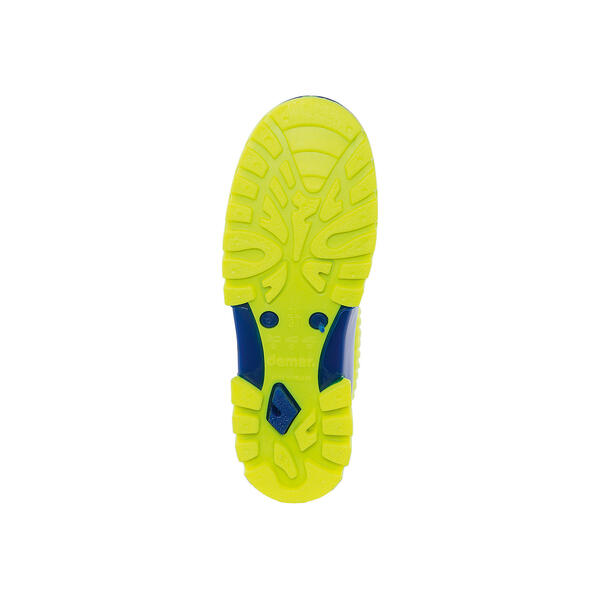 Резиновые сапоги со съемным носком Twister Lux Print Demar 4576060