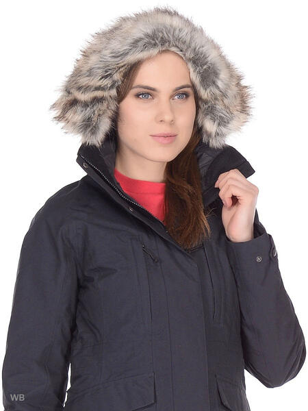 Парка North face 4297219