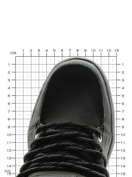 Ботинки DC Shoes 4951255