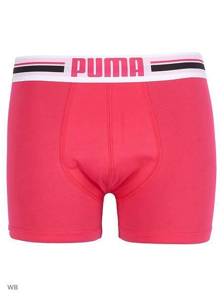 Трусы PLACED LOGO BOXER 2P Puma 4724901