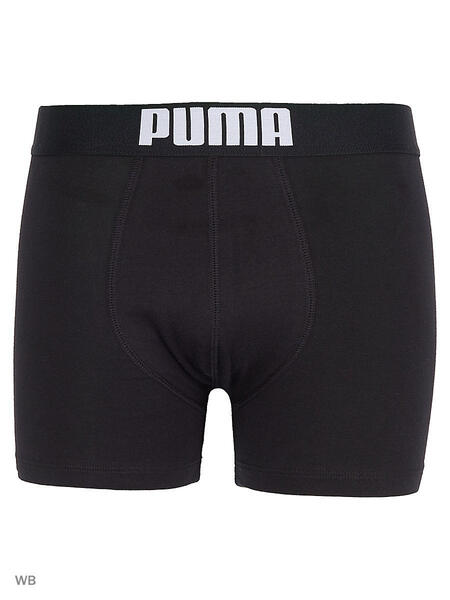 Трусы PLACED LOGO BOXER 2P Puma 4724901