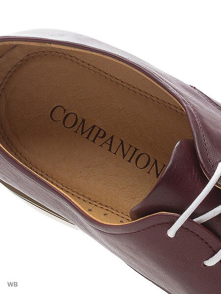 Туфли Companion 3929562